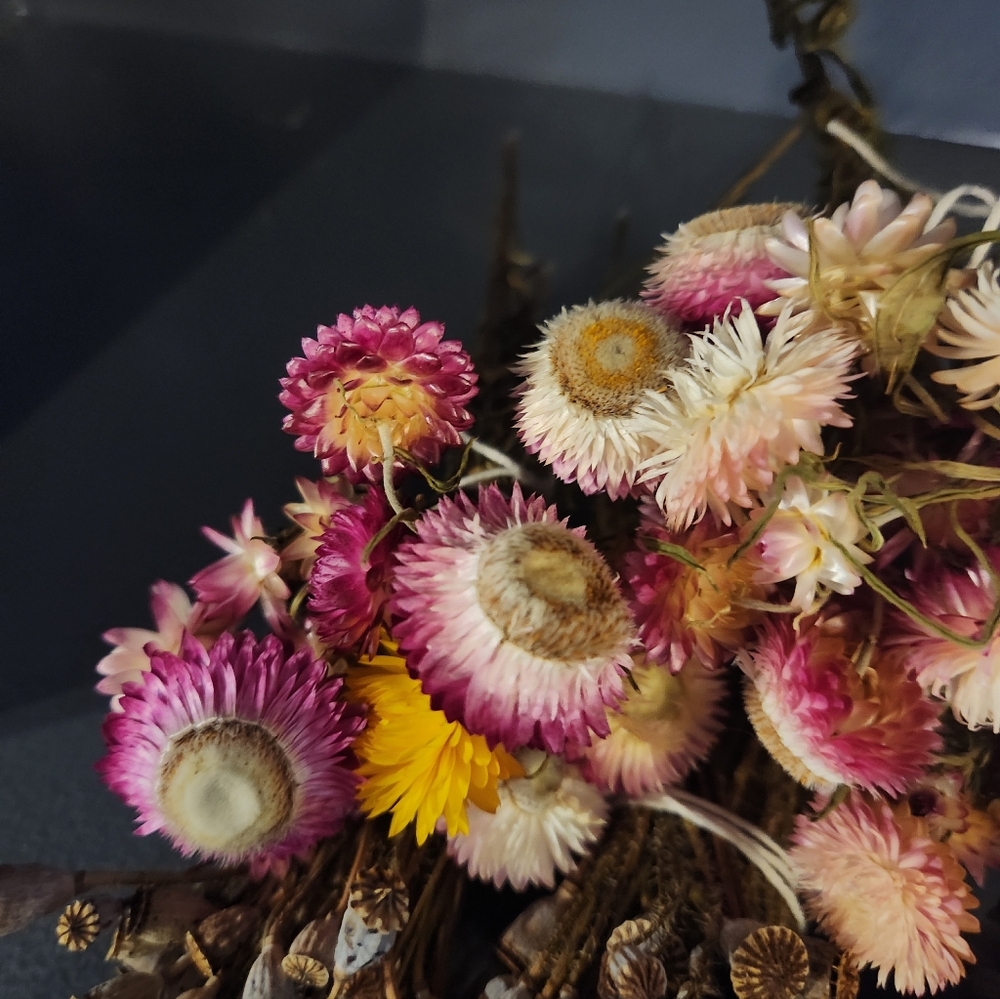 6 Little Real Dried Pod And Flower Bouquets. - Picture 3 of 9